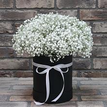 Цветочная композиция из Гипсофила в шляпной коробке #REPLACE_PRED# Иевлево